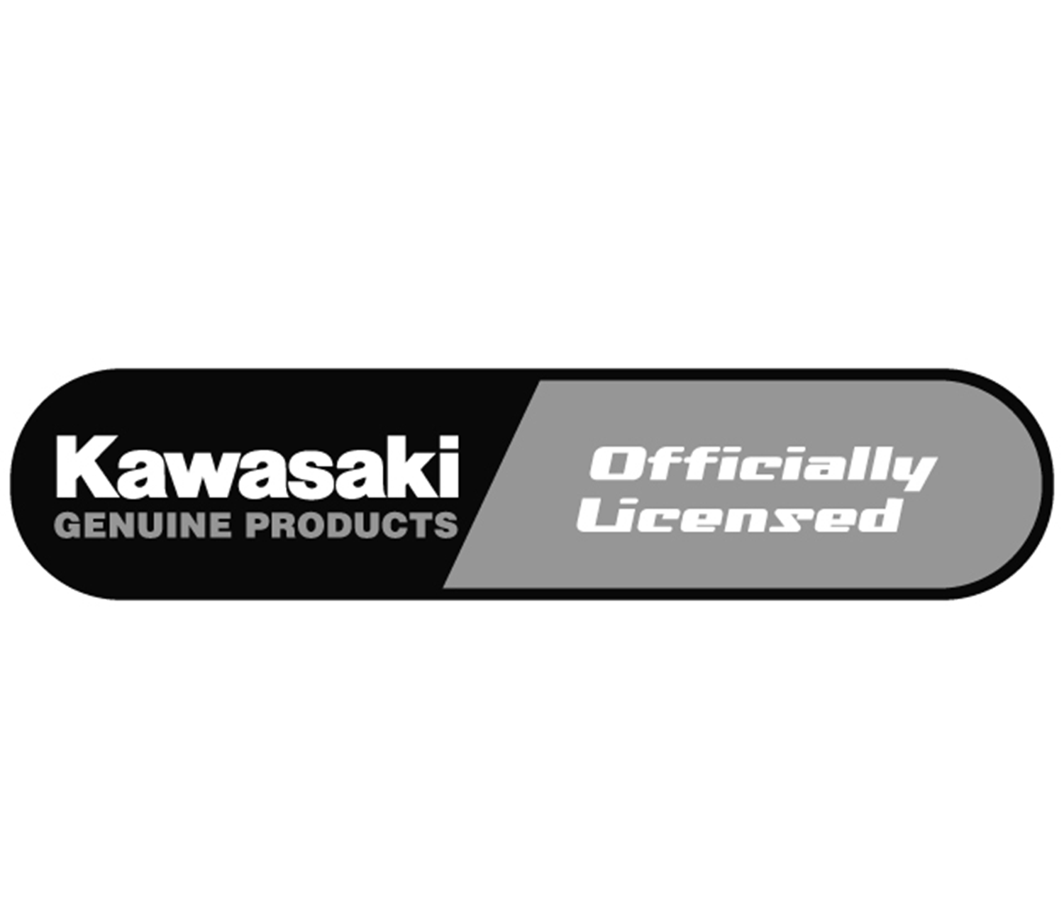 OEM Kawasaki Motorcycle Paint – Factory-Matched for Touch-up